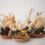 Totopos (corn chips)