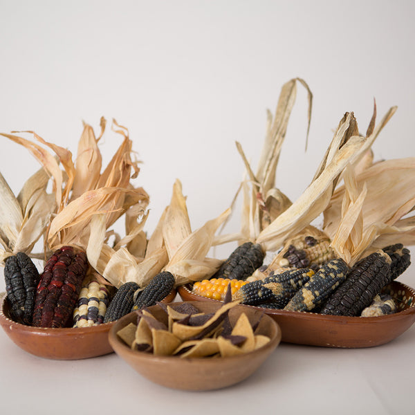 Totopos (corn chips)