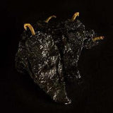 Ancho Dried Chillies